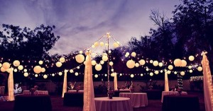 Backyard wedding lightening