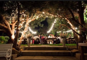 Outdoor wedding idea night 