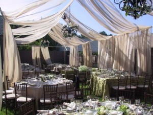 Intimate wedding idea and tent